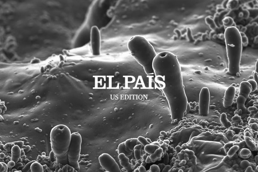 The microscopic “protocells” observed in the experiment carried out by Juan Manuel García Ruiz's team. Credits: Christian Jenewein y Alicia Rivera. Source: ElPais.com