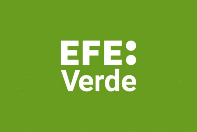 EFE:Verde logo.