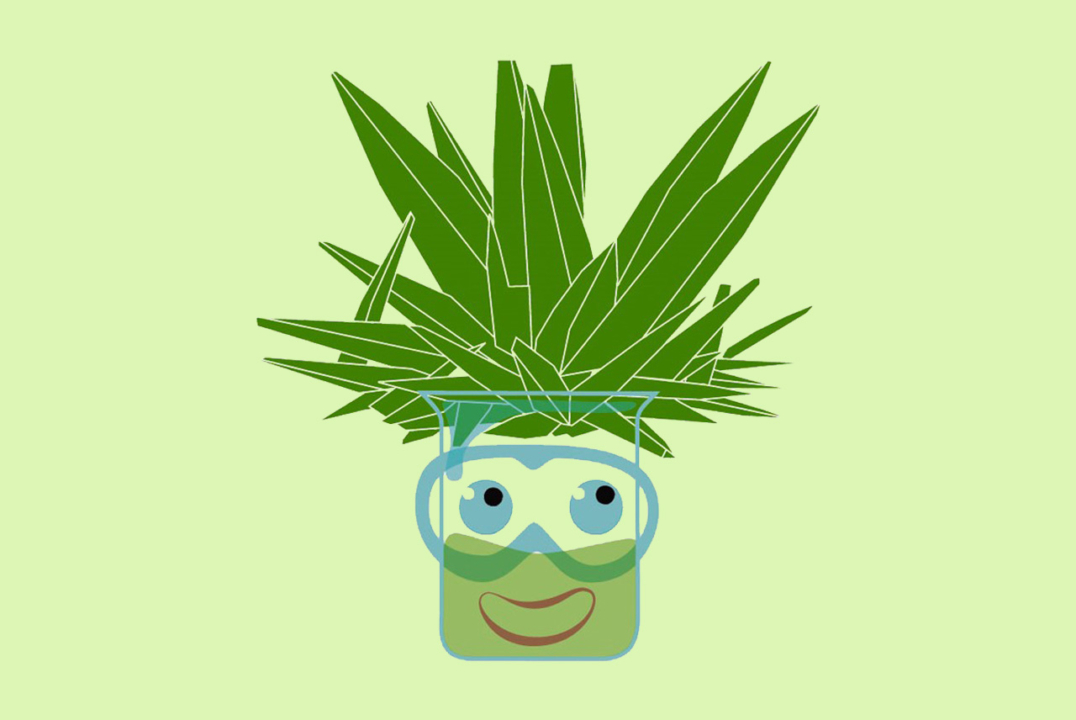 Logo fo Crystallization Contest in Schools, SPAIN.